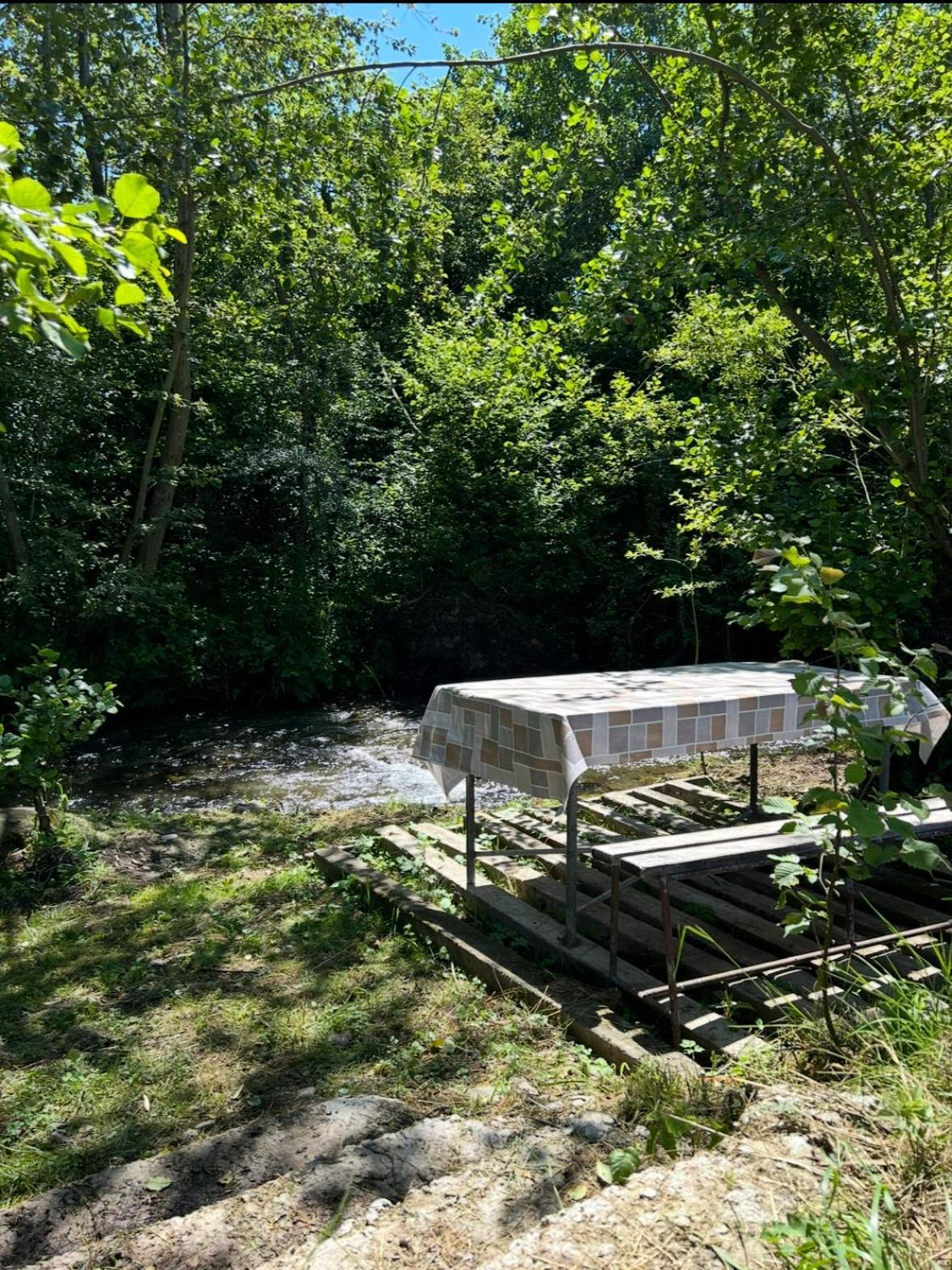 Cottage Bytheriver Arpaşu de Sus المظهر الخارجي الصورة
